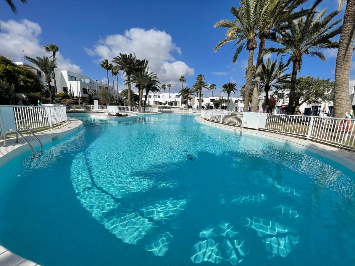 Oasis Corralejo